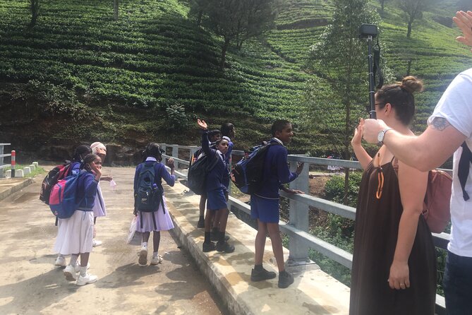 10-Day Sri Lanka Escape – Culture, Wildlife & 3 stars Hotels - Private route, real comfort: how this 10-day plan feels