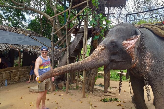 12 Days Sri Lanka Island Adventure and Wild Tour - Yala National Park safari: the wild part of the schedule