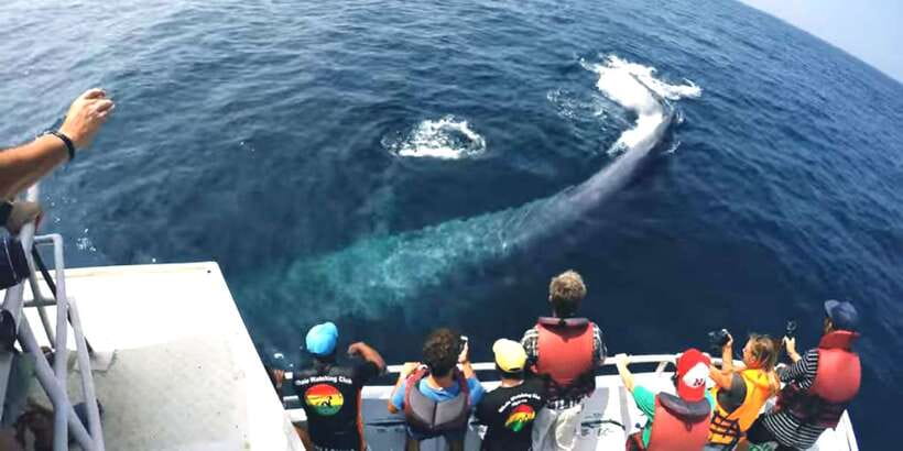 2-Day Whale Watching & Southern Sri Lanka Tour - Key things that make this tour worth a look