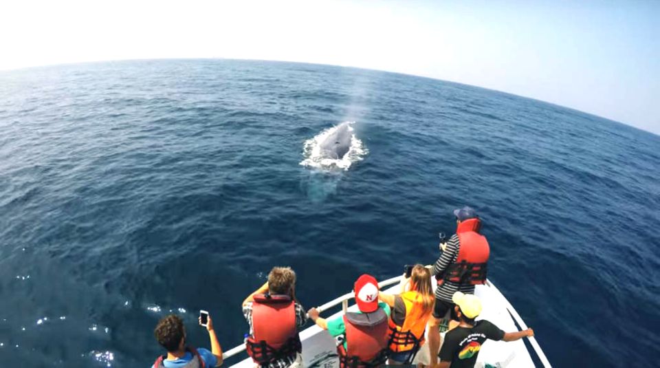 2-Day Whale Watching & Southern Sri Lanka Tour - Hikkaduwa marine sanctuary and the glass-bottom boat view