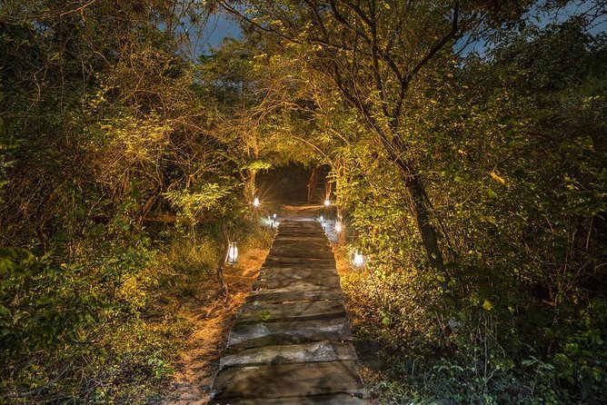 2 Nights All Inclusive Treehouse Safari in Yala with transfers - The Game Drives: Timing, Vehicles, and What a Naturalist Adds