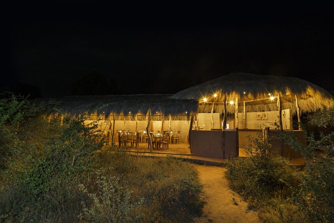 2 Nights All Inclusive Treehouse Safari in Yala with transfers - Day 1 in Yala: Afternoon Arrival, Evening Wildlife, Camp Fire Comfort