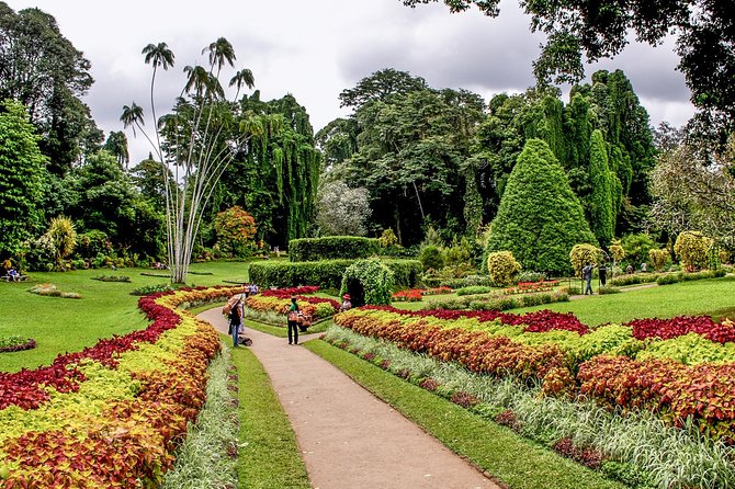 3 Days Tour to Kandy, Nuwara Eliya & Sigiriya - Should you book? My take