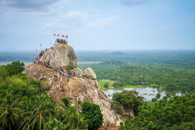 4 Days of Discovery and Delight in Sri Lanka - Minneriya National Park Safari: Elephants Are the Main Character