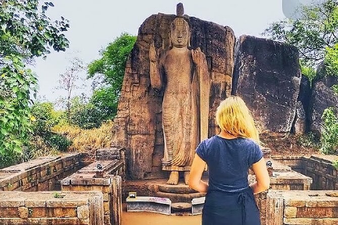7 Days Sri Lanka Tour package with Private Driver - Private driver-guide and air-conditioned comfort across the island
