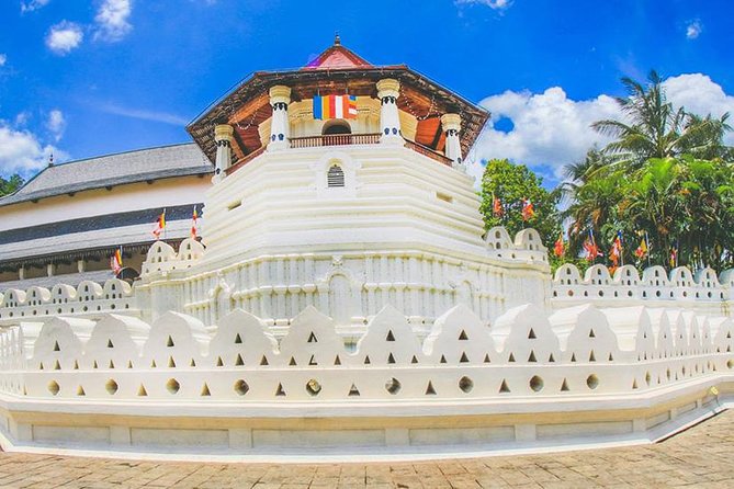 7 Nights Private Tour Of Sri Lanka - Day 3: Golden Temple of Dambulla, the Tooth Relic, and Kandy Night Culture