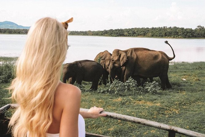7 Nights Private Tour Of Sri Lanka - Day 6: Southern Coast Road Trip With Waterfalls, Then Beach Time