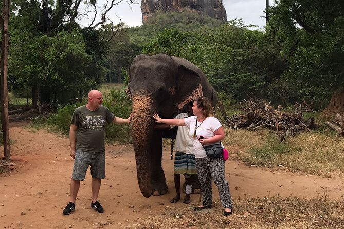8 Days Private Guided Tour in Sri Lanka with accommodation (BB) - Colombo to Mirissa by private car: the smart way to see a lot