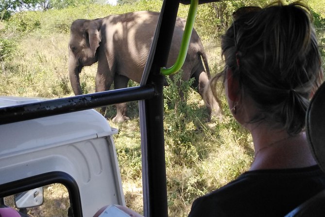 A Udawalawa Park safari, Tour from Colombo/Galle- (All inclusive) - Key things I found most useful
