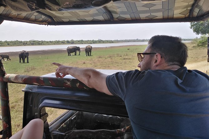 A Udawalawa Park safari, Tour from Colombo/Galle- (All inclusive) - A Private 4WD Safari Day From Colombo/Galle