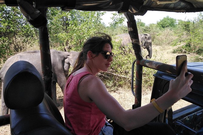 A Udawalawa Park safari, Tour from Colombo/Galle- (All inclusive) - The Drive Out in an Air-Conditioned Private Car