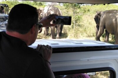 A Udawalawa Park safari, Tour from Colombo/Galle- (All inclusive) - Why Udawalawe Works So Well for First-Time Wildlife Days