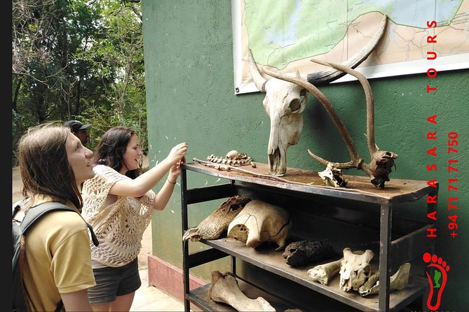 A Udawalawa Park safari, Tour from Colombo/Galle- (All inclusive) - Entering Udawalawe National Park: How the Safari Time Is Used