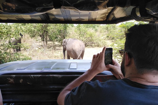 A Udawalawa Park safari, Tour from Colombo/Galle- (All inclusive) - Wildlife You Should Actually Look For (and What It Means for Your Day)