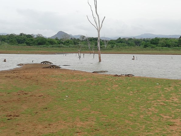 A Udawalawa Park safari, Tour from Colombo/Galle- (All inclusive) - Lunch and Refreshments: Small Comforts, Big Impact