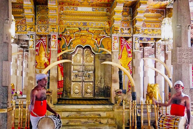 All Inclusive Kandy Private Day Tour From Colombo and Negombo - Tea at Damro Labookellie: Learning Without Turning It Into School