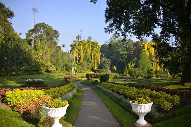All Inclusive Kandy Private Day Tour From Colombo and Negombo - Herbal Gardens and Handcrafted Wood Carvings: Shopping With a Sense of Place
