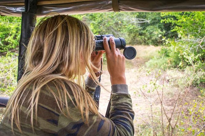 All Inclusive Leopard Nest Treehouse Safari in Yala - Dawn safari: your second shot at Yala’s big cats