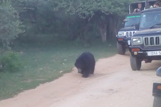 All inclusive Private jeep safari at Yala National park - Key highlights at a glance