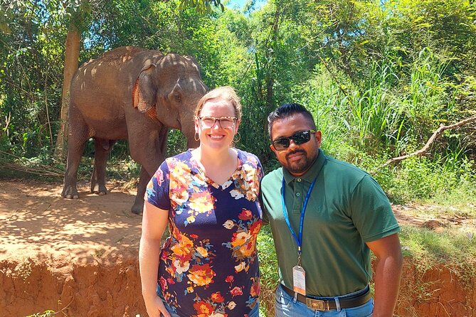 All Inclusive Udawalawe National Park Safari Day Tour from Colombo and Negombo - Itinerary in Plain English: The Real Shape of Your Day