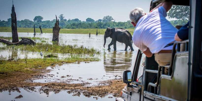 All inclussive Udawalawa National Park Safari From Colombo - Price and value: is $225 fair for this kind of day?