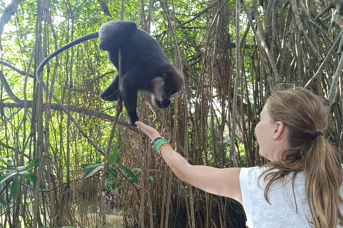 All of Sri Lanka within 10 Days - Day 9: Bentota river safari and a slow south-coast finish