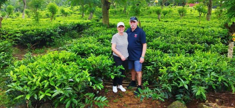 Ceylon Tea Experience from Colombo Port Passenger Terminal - Key highlights worth your attention