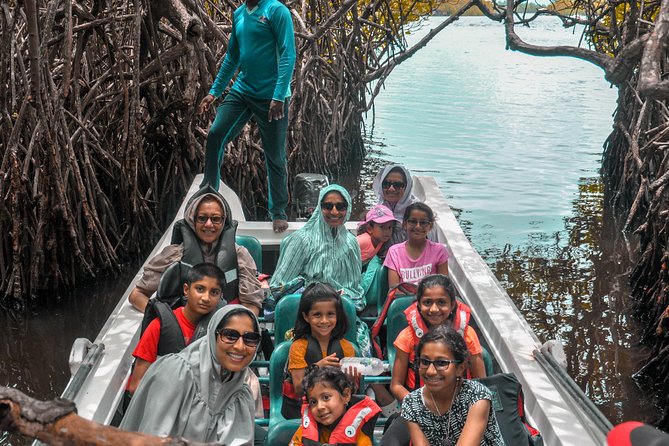 Coastal Ride to Galle from Colombo - Turtles at the Kosgoda Hatchery: Conservation You Can See