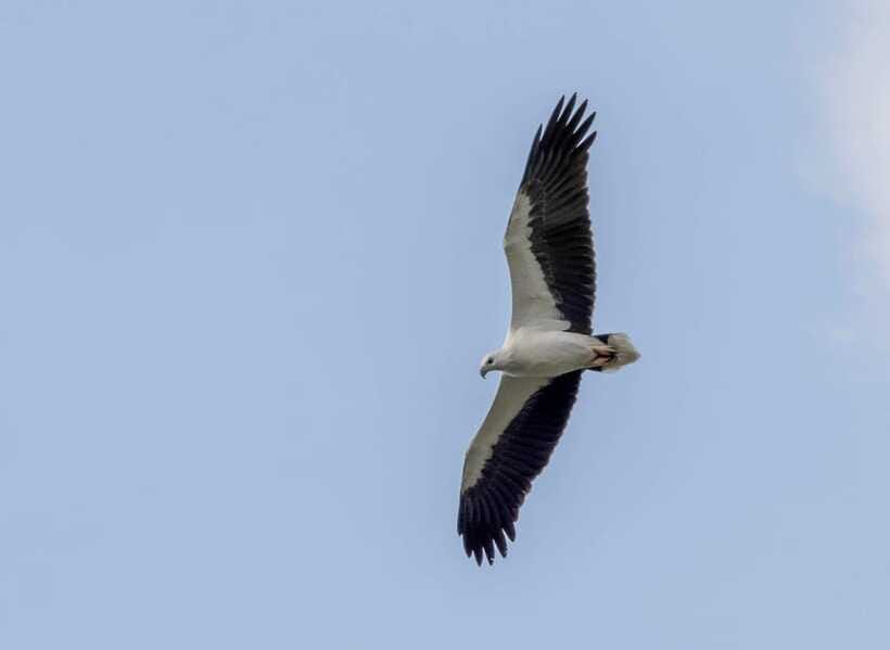 Colombo: Bird watching around Colombo-Guided Tour - 06 hours - Price and Value: What $76 Covers (and Why It’s Not Just the Guide)