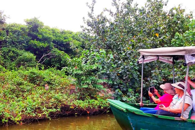 Colombo City Tour (small group with pickup from Cruise ship) - Price and Value: What You’re Really Paying For