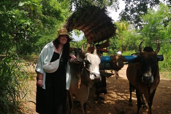 Colombo , Negombo to Trincomalee Transfer and Safari - A Long, Wildlife-Focused Transfer From Colombo to Trincomalee