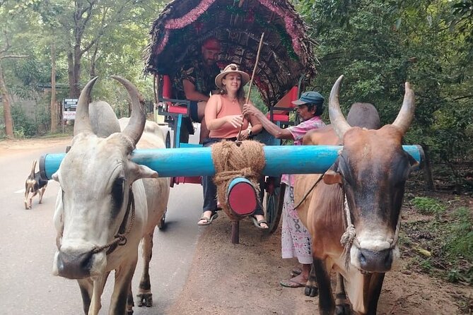 Colombo , Negombo to Trincomalee Transfer and Safari - Who This Tour Fits Best (and Who Might Prefer Something Else)