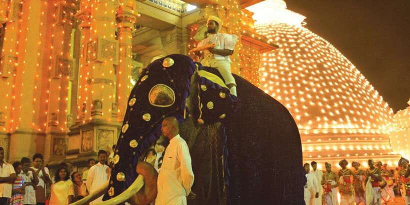 Colombo Port Shore Excursions Colombo City & Kalaniya Temple - Key highlights (what makes it worth your time)