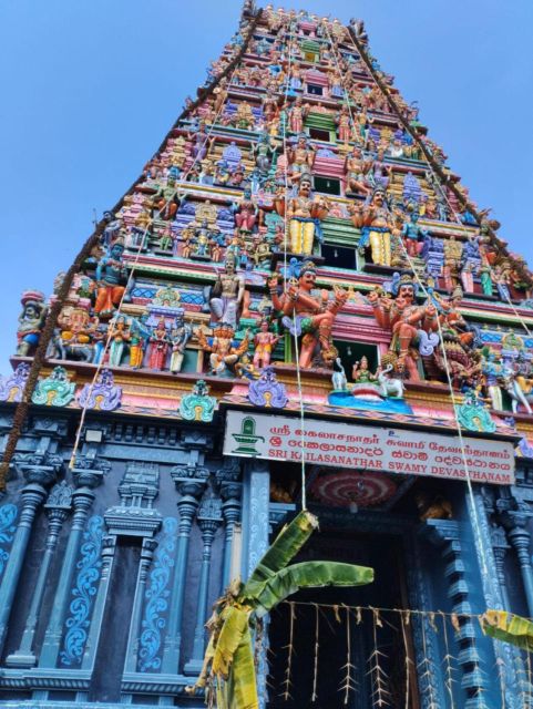 Colombo Port Shore Excursions Colombo City & Kalaniya Temple - Colombo Art Gallery: a calmer moment