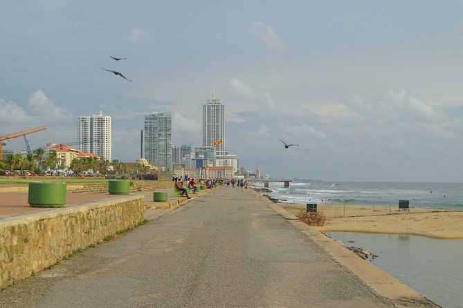Colombo Shore Excursion from Cruise Port – Private Small Group - First impressions: Colombo shore time, without the chaos
