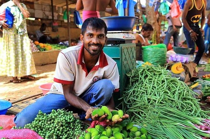 Colombo STREET Food with private guide city tour(All - included ) - How this Colombo street-food tuk-tuk tour actually feels