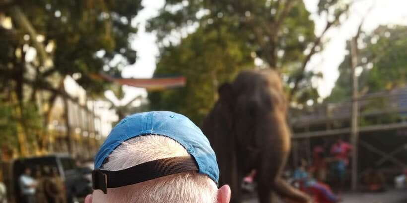 Colombo Tuk Tour with Food and Drinks(morning and evening) - Why Colombo by convertible tuk-tuk feels different