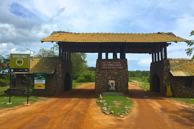 Day Excursion to Yala National Park From Colombo - Key highlights to know before you go