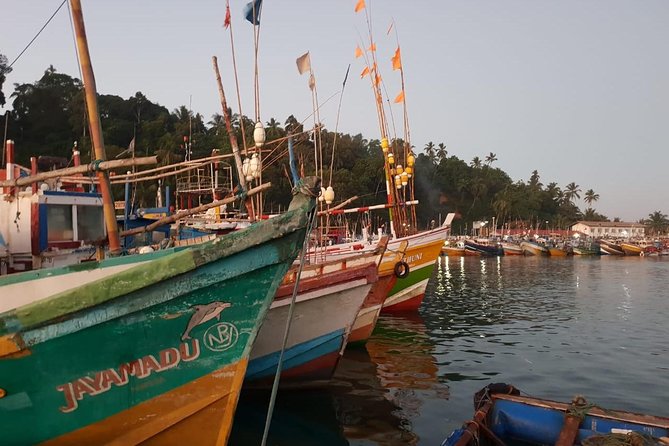 Day tour of Galle - Weligama stilt fishermen stop: quick photos and a reality check