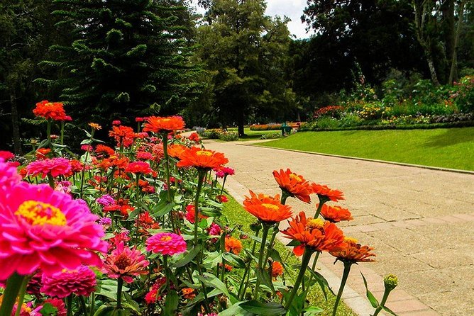 Day Tour to Nuwara Eliya from Kandy by Lux Tours Lanka - Nuwara Eliya’s Little England Feel, In One Day
