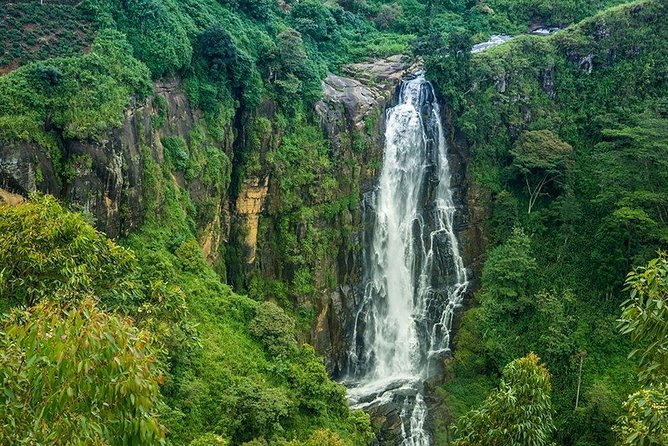 Day Tour to Nuwara Eliya from Kandy by Lux Tours Lanka - Gregory Lake: Pedal Swans, Pony Rides, and a Reality Check on Noise