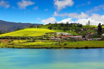 Day Tour to Nuwara Eliya from Kandy by Lux Tours Lanka - Price and Value: What $160 Gets You (and What Might Cost Extra)