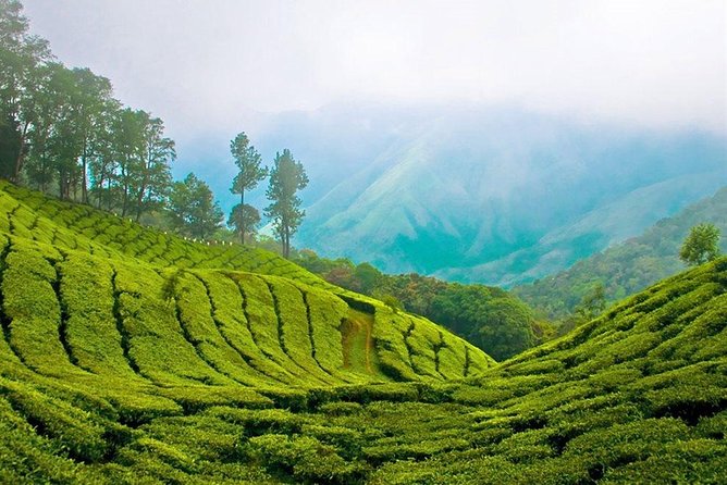 Day Tour to Nuwara Eliya from Kandy by Lux Tours Lanka - Ramboda Waterfall: Quick, Free, and Worth the Short Stop
