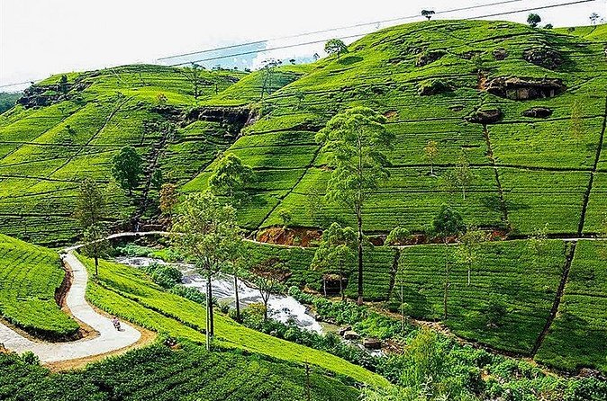 Day Tour to Nuwara Eliya from Kandy by Lux Tours Lanka - Victoria Park: A Well-Kept Break from Driving