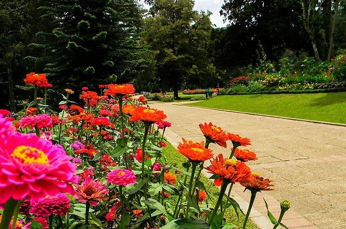 Day Tour to Nuwara Eliya from Kandy by Lux Tours Lanka - Hakgala Botanic Gardens: Quiet Beauty, Steep Entry, Big Payoff