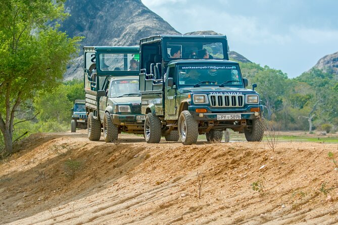 Day Tour to Wilpattu National Park from Colombo - Key highlights worth your attention