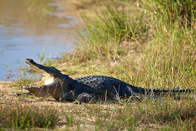 Day Tour to Wilpattu National Park from Colombo - Small-group feel: private guide, group discounts, and flexibility