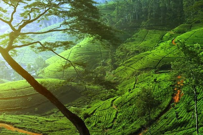 Day Trip to Nuwara Eliya with Kingfisher Tours - Sorborn Jewellery stop: a quick look at Sri Lanka’s mineral industry