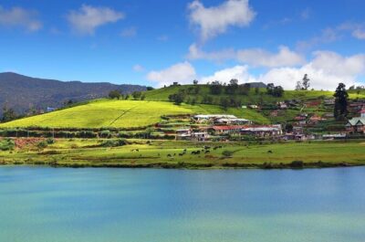 Day Trip to Nuwara Eliya with Kingfisher Tours - How the tea-and-falls route is timed for one day