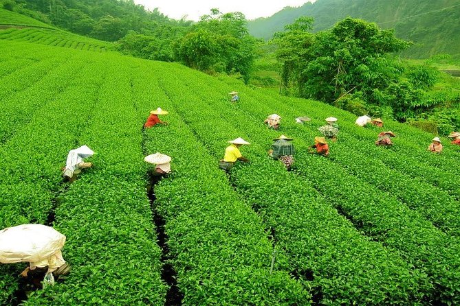 Day Trip to Nuwara Eliya with Kingfisher Tours - Gregory Lake Park: boat rides, snacks, and breathing room
